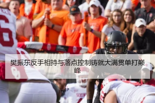 樊振东反手相持与落点控制铸就大满贯单打巅峰